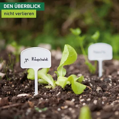 Produktbild von Pflanzenschilder zum Beschriften von Saatgut weiß 7 Stück