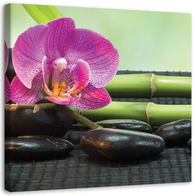 Produktbild von Leinwandbild blühende orchidee auf schwarzen steinen 50x50 cm Feeby rosa wandbild bereit zum aufhängen