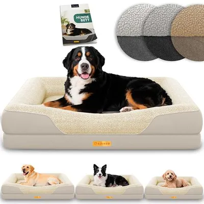 Image de Lit orthopédique pour chien ELONEO, taille XL - Crème