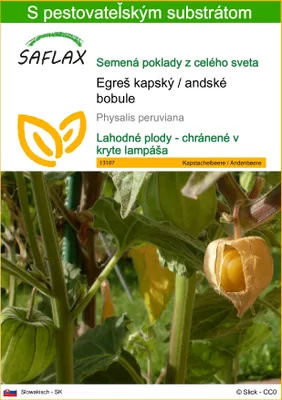 Obrázok produktu pre SAFLAX - Egreš kapský / andské bobule - Physalis peruviana - 100 Semená - S pestovateľským substrátom bez klíčkov