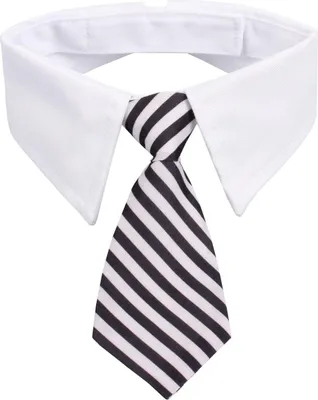 Produktbild von Gentledog Hundekrawatte, schwarz-weiß, Größe L