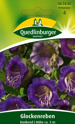 Produktbild von Glockenrebe, Rankend