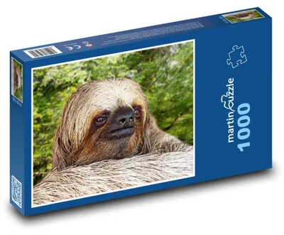 Zdjęcie produktu dla martinpuzzle - Puzzle 1000 elementów - Lenochod