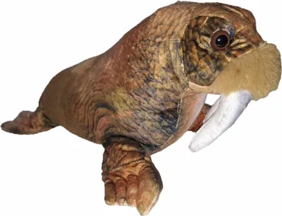 Produktbild von Plüschtier Walross 40 cm, Kuscheltiere Stofftiere Robbe Robben Walrosse Eismeer Tier