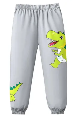 Produktbild von Graue Jogginghose Größe 110 - Dinosaurus