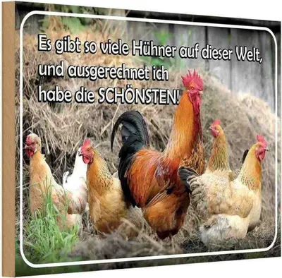 Produktbild von vianmo Holzschild 12x18 cm es gibt so viele Hühner und Tier Haustier