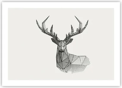 Produktbild von Poster - Poster ohne Rahmen - Hirsch Skizze Skandinavisch - 70x50 cm - Wand Bild - Wanddeko - Wandbilder - Kunstposter - Wandposter - Bilder - Kunstdruck - Wanddekoration - Wandbild - P2XAA70x50-4950