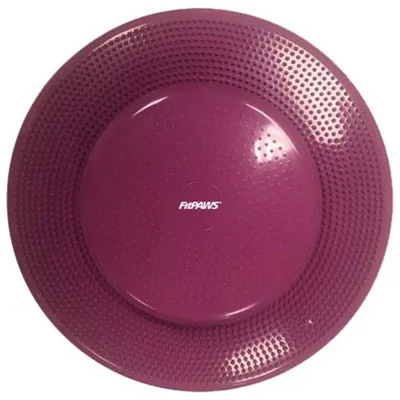 Immagine prodotto di Disco di equilibrio FitPAWS per animali domestici 36 cm Razzleberry