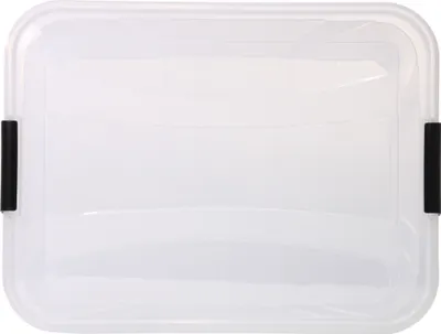 Image de Boîte de rangement avec couvercle 14L