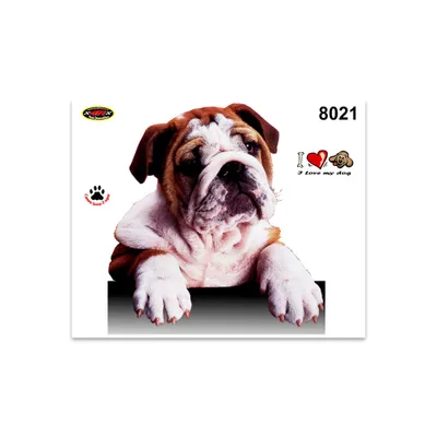 Immagine prodotto di Adesivo Cucciolo Bulldog 14 x 16 cm