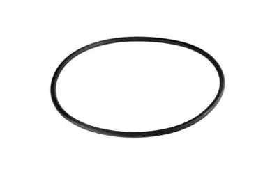 Zdjęcie produktu dla Kärcher O-Ring 146x5 EPDM