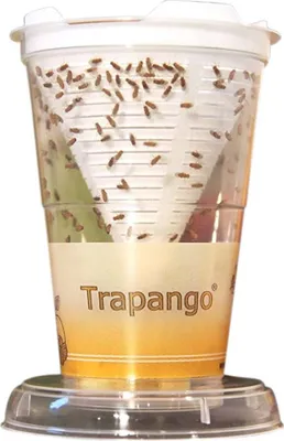Produktbild von Trapango - Fruchtfliegen-Lebendfalle
