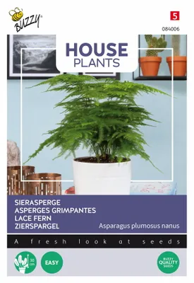 Immagine prodotto di Buzzy House Plants Asparagus Semi di asparagi ornamentali - Circa 1 gr | Buzzy_084006