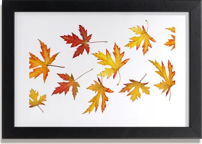 Produktbild von Bild 30x20 MDF-Rahmen, Wandkunst Herbstblätter