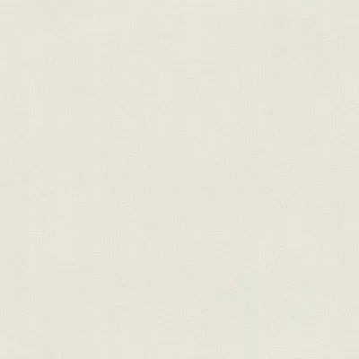Obrázek produktu pro Vliesová tapeta 464030 Jednobarevná tapeta 53 x 1005 cm Rasch Selection White
