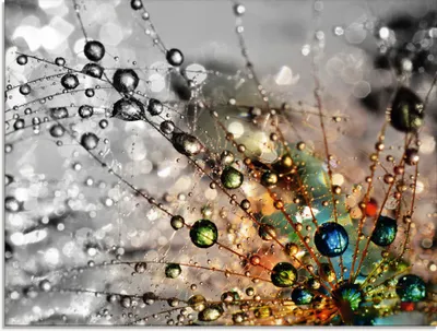 Produktbild von ARTland Glasbild Farbenfrohe Natur Größe: 80x60 cm