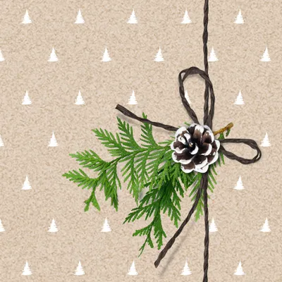 Produktbild von PAPSTAR Weihnachts-Motivservietten "Simply Natural" 330 x 330 mm 20 Stück