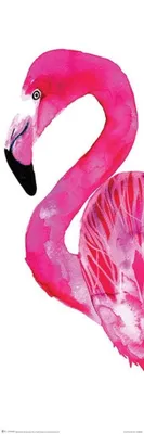 Produktbild von Poster Sofie Rolfsdotter Flamingo 30.5x91.5cm