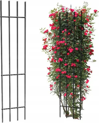 Produktbild von Garten Terrasse PERGOLA für Rankhilfe Rosen Metall schwarz Rosenspalier 150 cm
