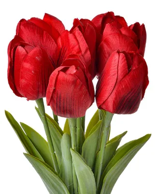 Obrázok produktu pre Clayre & Eef umelý kvet tulipán 32 cm červený plast