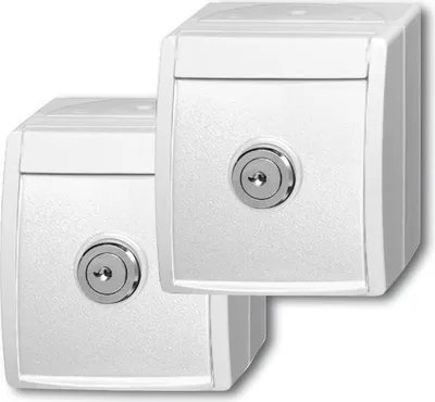 Produktbild von Busch-Jaeger 20/20 EWSL-54 2 SCHUKO® Steckdosen alpinweiß