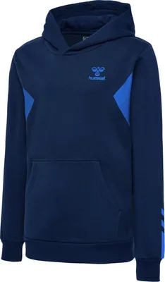 Produktbild von HUMMEL hmlACTIVE CO HOODIE KIDS