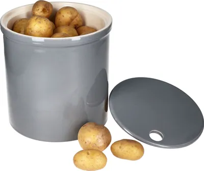 A gray ceramic potato storage pot with a lid, filled with potatoes, and a few potatoes scattered around it.