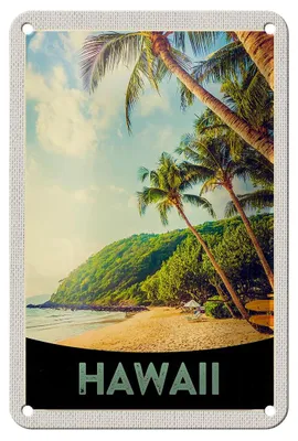 Produktbild von Blechschild Reise 12x18cm Hawaii Insel Strand Palmen Sonne Schild