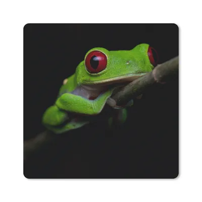 Produktbild von MuchoWow® Mauspad Mousepad Rotäugiger Quecksilberfrosch auf schwarzem Hintergrund 30x30 cm - Mousepads - Maus Mat - Pad - Mausunterlage - Gaming