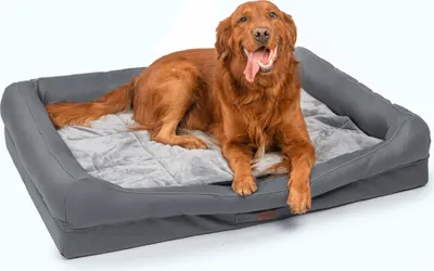 Produktbild von RAIKOU Hundematratze Hundebett gepolstertes waschbares Tierbett Hundekissen Hundesofa