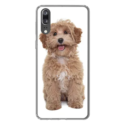 Produktbild von MuchoWow® Handyhülle Schutzhülle Hülle für Huawei P20 Hund - Haustiere - Fell Silikon Softcase Handy Hülle - Hardcover