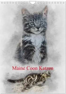 Produktbild von Maine Coon Katzen (Wandkalender 2024 DIN A4 hoch), CALVENDO Monatskalender