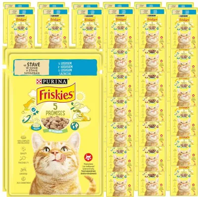 Zdjęcie produktu dla Purina Friskies z Łososiem 48x85g Mokra Karma Dla Kota w Sosie