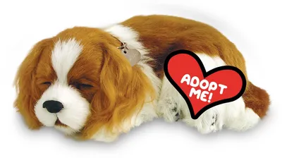 Produktbild von Perfect Petzzz 96309 Plüschhund Cavalier King Charles mit Körbchen, Größe 25 cm, Kuscheltier atmet wie EIN echtes Haustier, schlafender Hund mit Halsband, Stofftier mit flauschigem Fell, Weiß/Braun