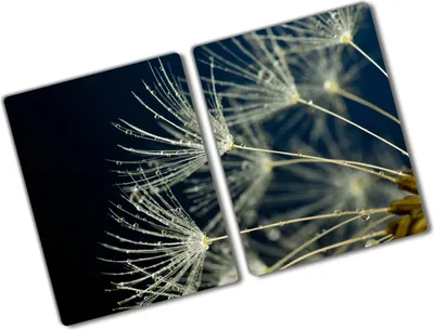 Produktbild von Tulup Glas Herdabdeckplatte - 2x40x52 cm - Glaskeramikkochfeld-Abdeckung Spritzschutz Glasabdeckplatte Kochplattenabdeckung und Schneidebrett - Zweiteilig - Blumen & Pflanzen - Pusteblume - Weiß