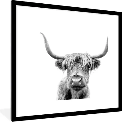 Produktbild von MuchoWow® Gerahmtes Poster Schottischer Highlander - Schwarz - Weiß - Tiere 40x40 cm - Poster mit Schwarzem Bilderrahmen Wandposter Rahmen Foto Bilder - Poster - Plakat im Rahmen