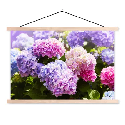 Produktbild von MuchoWow® Textilposter Blumen - Hortensie - Rosa - Blätter - Sonne 120x80 cm mit holzfarbenen Rahmen - Aufhängeset