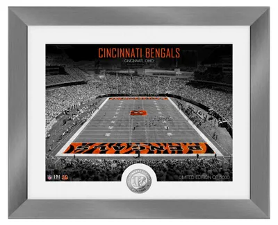 Produktbild von Cincinnati Bengals NFL Stadion Silber Coin Bild 40x33cm