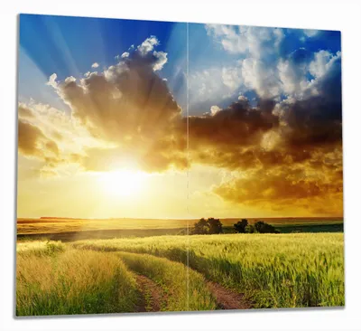 Produktbild von Wallario Herdabdeckplatte aus Glas, Größe 60 x 52 cm 2-teilig, Motiv Feldweg in den Sonnenuntergang