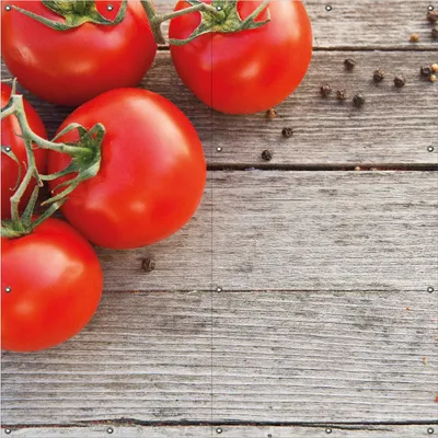 Produktbild von Wallario Outdoor-Poster für Garten oder Balkon, Motiv Tomaten und Gewürze auf altem Holztisch, in ca. 180 x 180 cm
