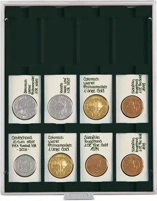 Produktbild von Lindner 2170C Münzbox Carbo mit 12 rechteckigen Vertiefungen für REBECK COIN L Münzrähmchen 75 x 50 mm-grau / schwarze Einlage