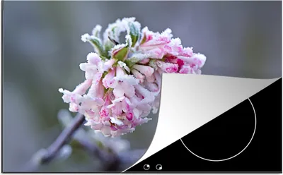Produktbild von KitchenYeah© Herdabdeckplatte Blumen - Rosa - Gefroren , 81x52cm, Küche Deko, Glaskeramikkochfeld Herdabdeckung, Abdeckplatte fùr Kochfeld
