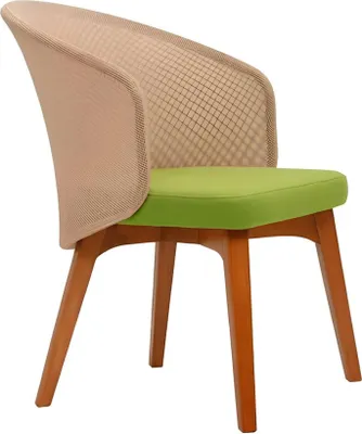 Produktbild von Zweifarbiger Esszimmerstuhl Modernes Design Luxus Holzstuhl Einsitzer