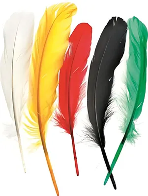Produktbild von Indianerfeder 16cm ca. 15 Stück mix