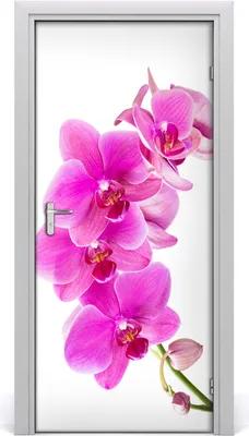 Produktbild von Tulup Türaufkleber 95x205 cm Dekorative Aufkleber Selbstklebend Wasserdichte Tapete Abnehmbar Schlafzimmer Wohnzimmer Wohnkultur - rosa Orchideen