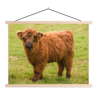 Produktbild von MuchoWow® Textilposter Schottischer Highlander - Leicht - Mantel 60x45 cm mit holzfarbenen Rahmen - Bild