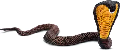 Immagine prodotto di Safari Ltd. 272629 Serpente cobra 19 cm