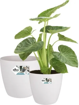 Image de Set de pots de fleurs Elho blanc plastique rond 2 pièces