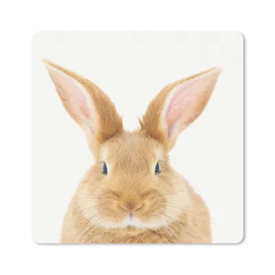 Produktbild von MuchoWow® Mauspad Mousepad Kinder - Kaninchen - Kind - Mädchen - Jungen 20x20 cm - Mousepads - Maus Mat - Pad - Mausunterlage - Desk Mat - Bureauartikeln