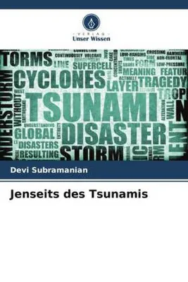 Produktbild von Jenseits des Tsunamis